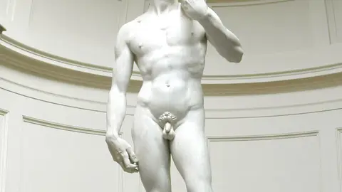 El David de Miguel Ángel El David de Miguel Ángel