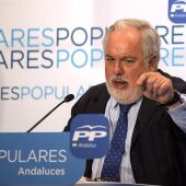 Miguel Arias Cañete, candidato del PP