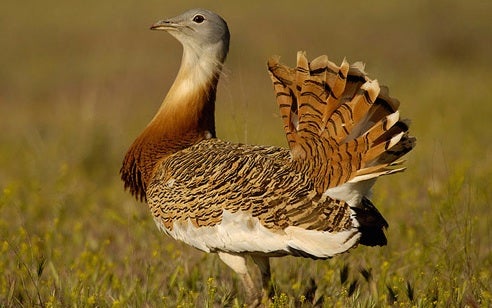 Alcalá de Henares en la onda 31/07/2017 Alcalá de Henares en la onda 31/07/2017