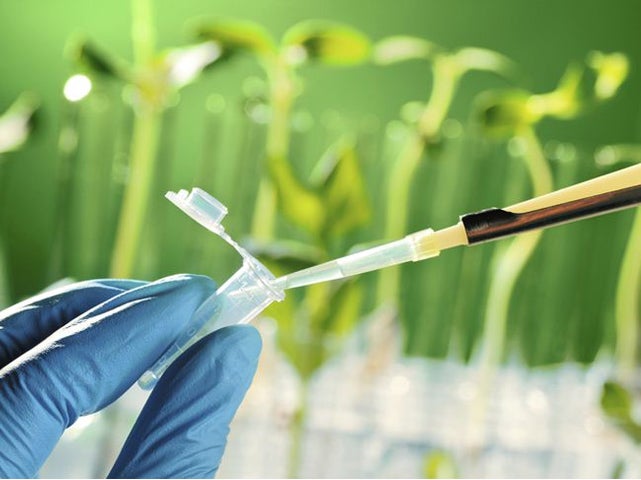 El primer instituto de nanohidrogeles inteligentes del mundo está en Álava El primer instituto de nanohidrogeles inteligentes del mundo está en Álava