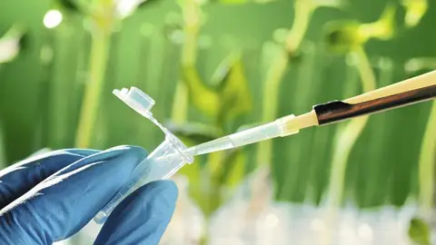 Biotecnología Biotecnología