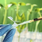 Biotecnología Biotecnología