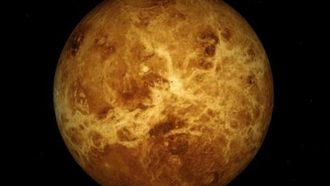 Venus