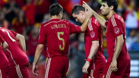 Espa&ntilde;a celebra el gol de Fernando Torres ante Bolivia