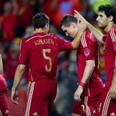 España celebra el gol de Fernando Torres ante Bolivia