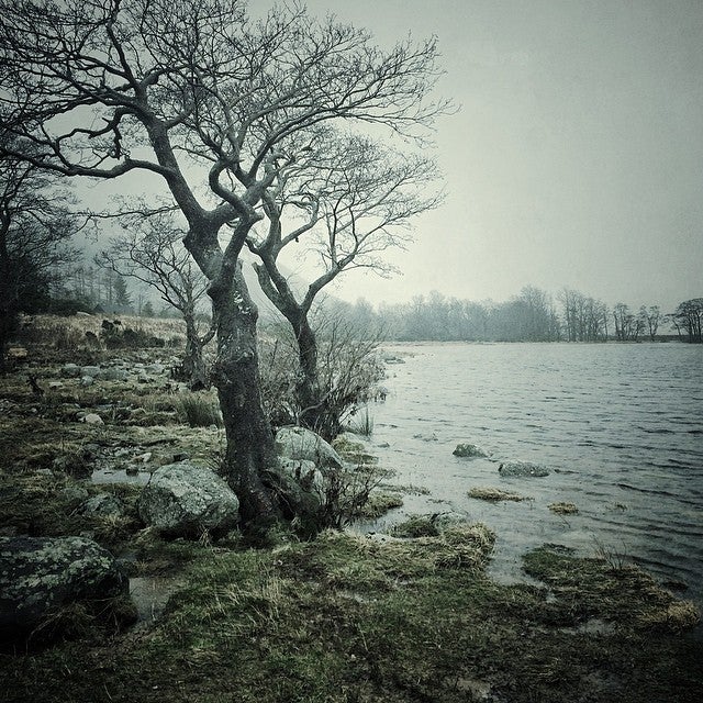 Ciencia y más: ¿Cuántos árboles hay en nuestro planeta? Ciencia y más: ¿Cuántos árboles hay en nuestro planeta?