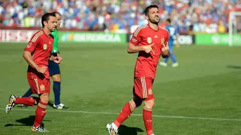 David Villa con la selección David Villa con la selección