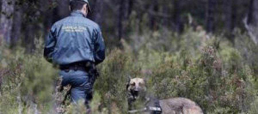 crimen petin crimen petin