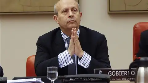 El exministro de Educación, José Ignacio Wert El exministro de Educación, José Ignacio Wert