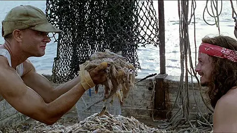 2. Busca la oportunidad en el desastre: El teniente Dan y Gump sufren un huracán mientras pescan. Una vez pasado el mal tiempo consiguen más gambas que nunca. 2. Busca la oportunidad en el desastre: El teniente Dan y Gump sufren un huracán mientras pescan. Una vez pasado el mal tiempo consiguen más gambas que nunca.
