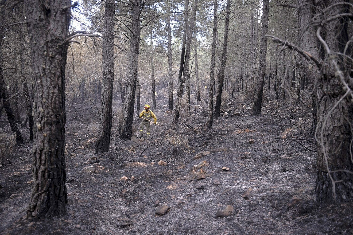 Extinguido el incendio de Artana en Castellón dos semanas después de su inicio Extinguido el incendio de Artana en Castellón dos semanas después de su inicio