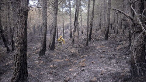 Un de los dos incendios de Guadalajara se encuentra extinguido y el de Castell&oacute;n sigue en nivel 2