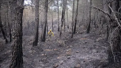 Un de los dos incendios de Guadalajara se encuentra extinguido y el de Castellón sigue en nivel 2 Un de los dos incendios de Guadalajara se encuentra extinguido y el de Castellón sigue en nivel 2
