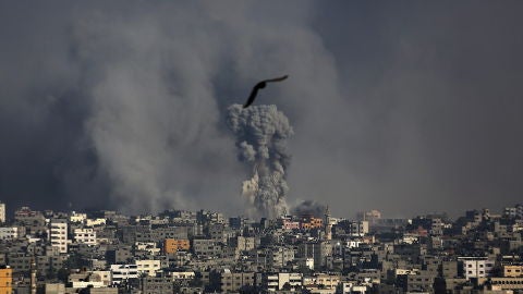 651 palestinos muertos y 4.600 heridos en 16 d&iacute;as de ofensiva israel&iacute; en Gaza