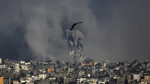 651 palestinos muertos y 4.600 heridos en 16 días de ofensiva israelí en Gaza 651 palestinos muertos y 4.600 heridos en 16 días de ofensiva israelí en Gaza