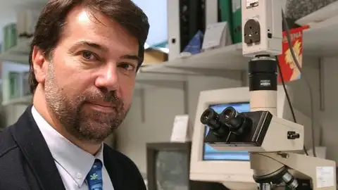 Pedro Alonso Pedro Alonso