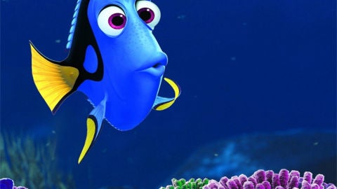 Dori 