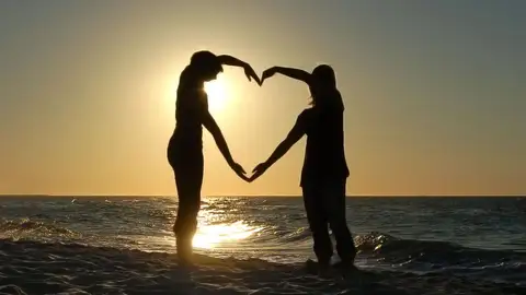 Amor Amor