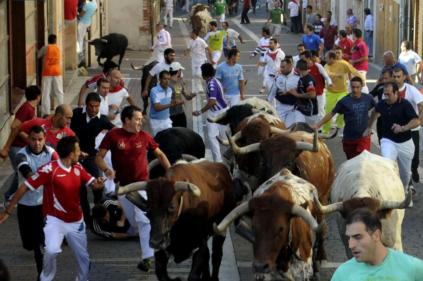 Los Encierros de Cuéllar, Fiesta de Interés Turística Internacional Los Encierros de Cuéllar, Fiesta de Interés Turística Internacional