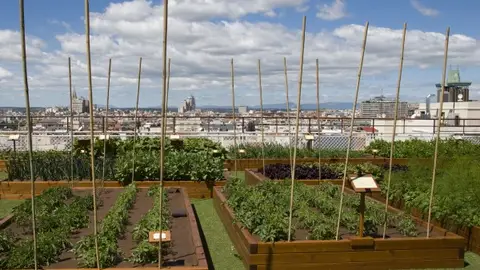 El huerto urbano más grande del mundo El huerto urbano más grande del mundo