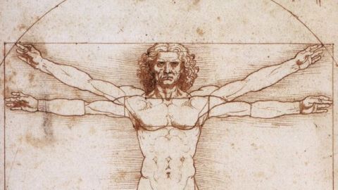 El hombre de Vitrubio
