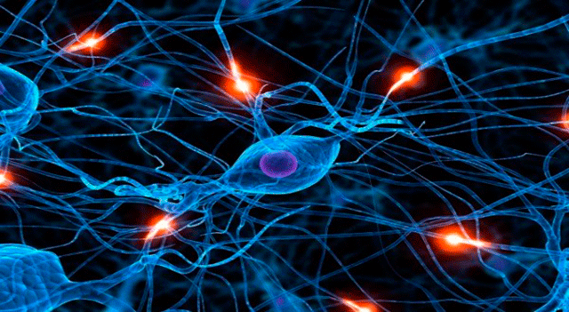 Minuto tecnológico: Proyecto AUTOML de Google: El cielo y el infierno de la inteligencia artificial Minuto tecnológico: Proyecto AUTOML de Google: El cielo y el infierno de la inteligencia artificial