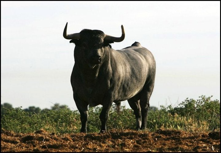 Aquí en la Onda. Navarra. "Va por ustedes", con Mariano Pascal. Hoy hablamos con Jose Luis Algora, de la ganadería Partido de Resina. Aquí en la Onda. Navarra. "Va por ustedes", con Mariano Pascal. Hoy hablamos con Jose Luis Algora, de la ganadería Partido de Resina.