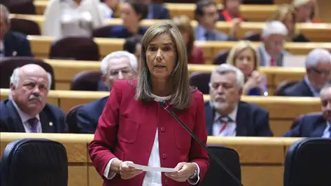 Ana Mato en declaraciones al Senado Ana Mato en declaraciones al Senado