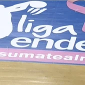 Liga Endesa #sumatealrosa Liga Endesa #sumatealrosa