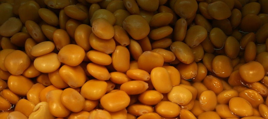 Unos altramuces chochos, listos para ser comidos. Unos altramuces chochos, listos para ser comidos.