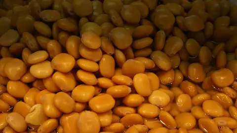 Unos altramuces chochos, listos para ser comidos. Unos altramuces chochos, listos para ser comidos.