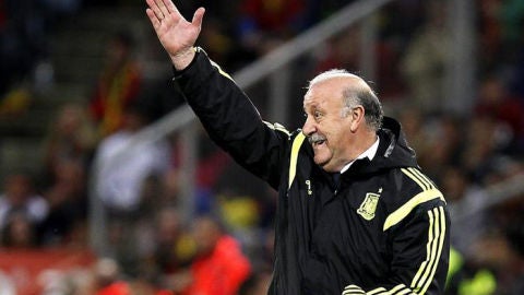 Del Bosque da &oacute;rdenes durante el partido ante Bielorrusia