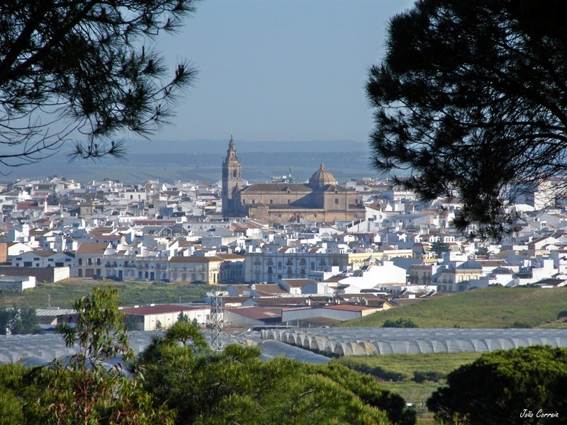 Moguer Moguer