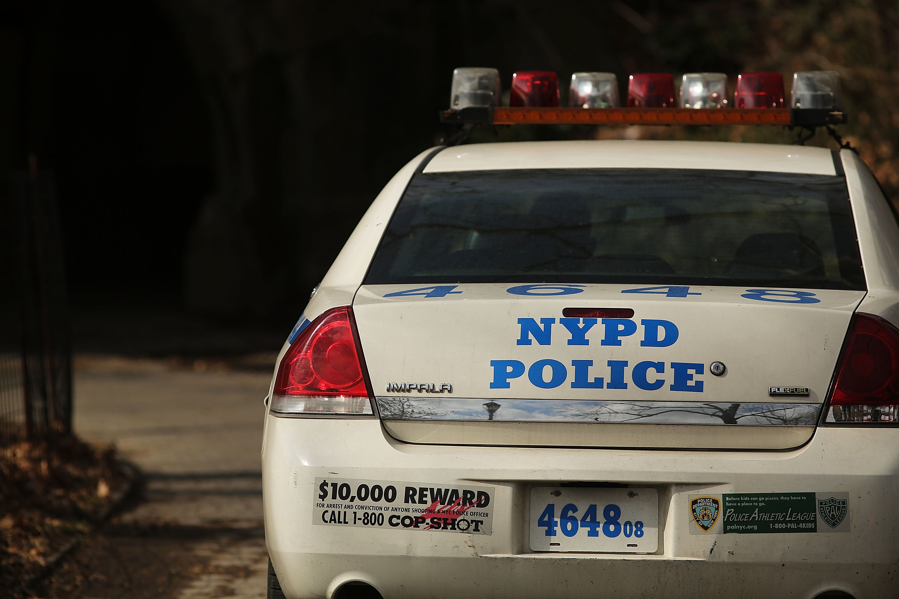 Tres muertos al caer a un estanque en un automóvil robado en Nueva York Tres muertos al caer a un estanque en un automóvil robado en Nueva York
