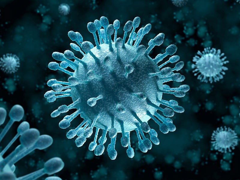 La Brújula de la Ciencia: ¿Cómo se descubre un virus? episode artwork
