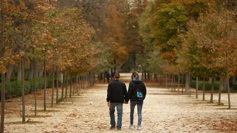 Una pareja pasea en el Parque del Retiro Una pareja pasea en el Parque del Retiro