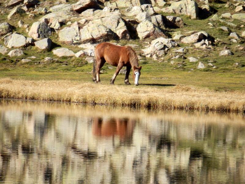 Pamplona en la onda 18/09/2015. Pamplona en la onda 18/09/2015.