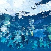 Contaminación de plásticos en nuestros oceanos