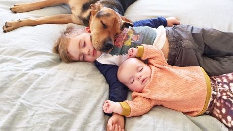 Nada como una buena siesta