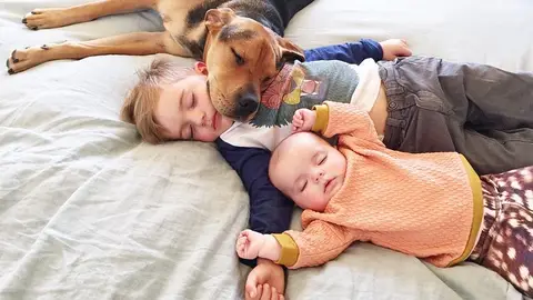 Nada como una buena siesta Nada como una buena siesta