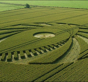 Crop Circle Crop Circle