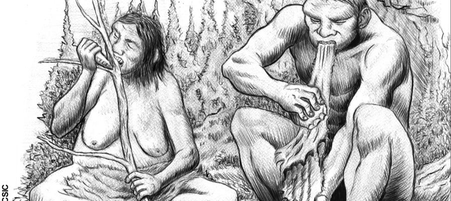 Los neandertales Los neandertales
