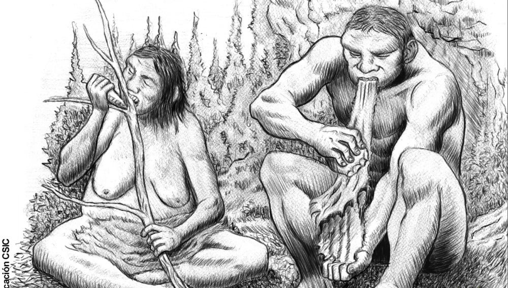Los neandertales