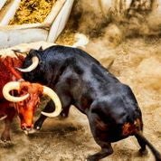 Lo que nos dejó Valencia. Lo que nos dejó Valencia.