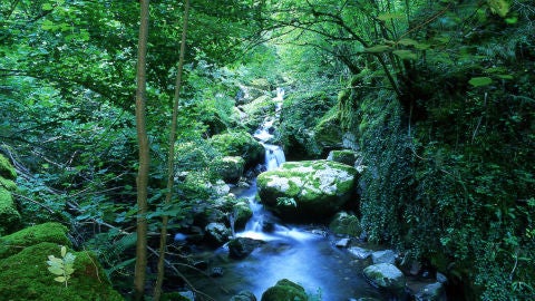 Paisaje de Asturias