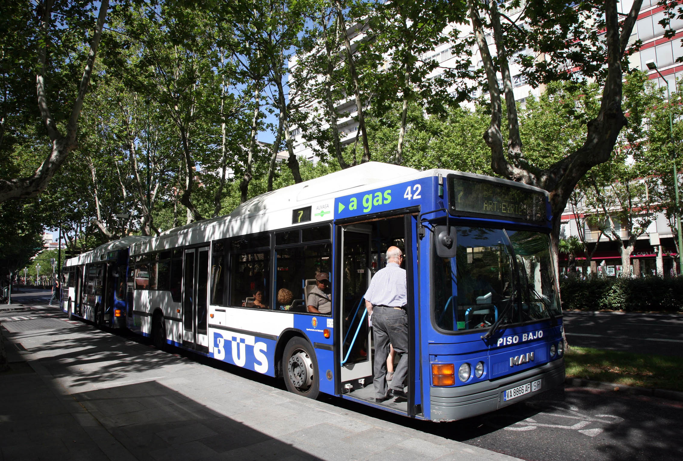 El conductor de autobús que defendió los derechos de la invidente con sus perros lazarillos El conductor de autobús que defendió los derechos de la invidente con sus perros lazarillos
