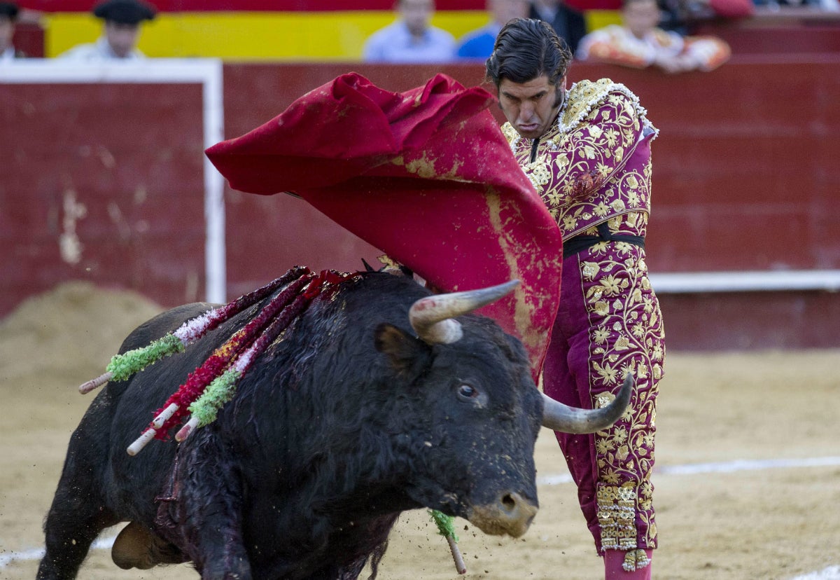 Un incendio afecta a la finca del torero Morante en La Puebla del Río Un incendio afecta a la finca del torero Morante en La Puebla del Río