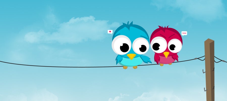 Pájaros de twitter enamorados Pájaros de twitter enamorados