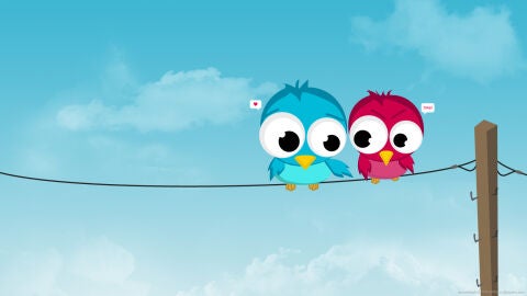 P&aacute;jaros de twitter enamorados