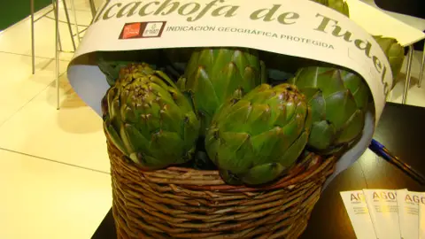 Verduras tudela Verduras tudela